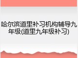 哈尔滨道里补习机构辅导九年级(道里九年级补习)