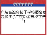 广东省冶金技工学校报名费是多少("广东冶金技校学费")