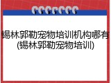 锡林郭勒宠物培训机构哪有(锡林郭勒宠物培训)