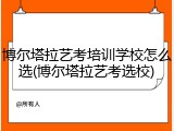 博尔塔拉艺考培训学校怎么选(博尔塔拉艺考选校)