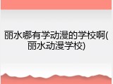 丽水哪有学动漫的学校啊(丽水动漫学校)