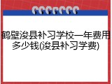 鹤壁浚县补习学校一年费用多少钱(浚县补习学费)