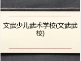 文武少儿武术学校(文武武校)