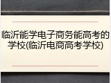 临沂能学电子商务能高考的学校(临沂电商高考学校)