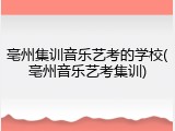 亳州集训音乐艺考的学校(亳州音乐艺考集训)