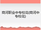 商河职业中专校花(商河中专校花)