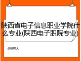 陕西省电子信息职业学院什么专业(陕西电子职院专业)