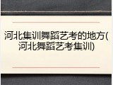 河北集训舞蹈艺考的地方(河北舞蹈艺考集训)