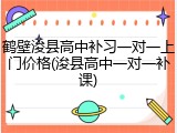 鹤壁浚县高中补习一对一上门价格(浚县高中一对一补课)