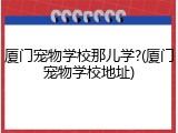 厦门宠物学校那儿学?(厦门宠物学校地址)