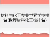 材料与化工专业世界学校排名(世界材料化工校排名)