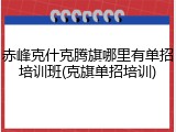 赤峰克什克腾旗哪里有单招培训班(克旗单招培训)