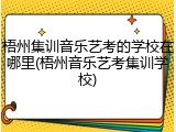 梧州集训音乐艺考的学校在哪里(梧州音乐艺考集训学校)
