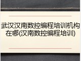 武汉汉南数控编程培训机构在哪(汉南数控编程培训)