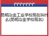 昆明冶金工业学校现在叫什么(昆明冶金学校现名)