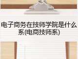 电子商务在技师学院是什么系(电商技师系)