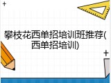 攀枝花西单招培训班推荐(西单招培训)