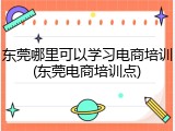 东莞哪里可以学习电商培训(东莞电商培训点)