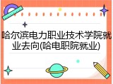 哈尔滨电力职业技术学院就业去向(哈电职院就业)