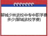 聊城少林武校中专中职学费多少(聊城武校学费)