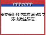 泰安泰山数控车床编程教学(泰山数控编程)