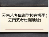 云南艺考集训学校在哪里(云南艺考集训地址)
