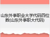 山东外事职业大学代码四位数(山东外事职大代码)