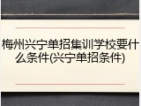 梅州兴宁单招集训学校要什么条件(兴宁单招条件)