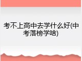 考不上高中去学什么好(中考落榜学啥)