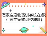 石家庄宠物寄训学校在哪(石家庄宠物训校地址)