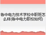 鲁中电力技术学校中职班怎么样(鲁中电力职校如何)