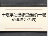 十堰学动漫哪里最好(十堰动漫培训优选)
