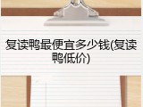 复读鸭最便宜多少钱(复读鸭低价)