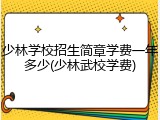 少林学校招生简章学费一年多少(少林武校学费)