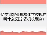 辽宁省农业机械化学校现在叫什么(辽宁农机校现名)