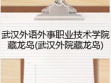 武汉外语外事职业技术学院藏龙岛(武汉外院藏龙岛)