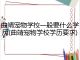 曲靖宠物学校一般要什么学历(曲靖宠物学校学历要求)