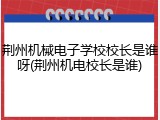 荆州机械电子学校校长是谁呀(荆州机电校长是谁)