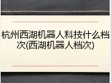 杭州西湖机器人科技什么档次(西湖机器人档次)