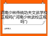 河南少林传统功夫文武学校正规吗("河南少林武校正规吗")