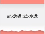 武汉海运(武汉水运)