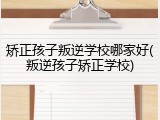 矫正孩子叛逆学校哪家好(叛逆孩子矫正学校)