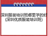 深圳服装培训班哪里学的好(深圳优质服装培训班)