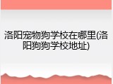 洛阳宠物狗学校在哪里(洛阳狗狗学校地址)