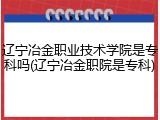 辽宁冶金职业技术学院是专科吗(辽宁冶金职院是专科)