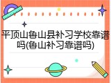 平顶山鲁山县补习学校靠谱吗(鲁山补习靠谱吗)
