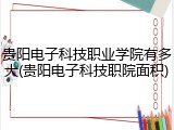 贵阳电子科技职业学院有多大(贵阳电子科技职院面积)