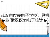 武汉市仪表电子学校计算机专业(武汉仪表电子校计专)
