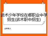 武术少年学校在哪职业中学招生(武术职中招生)