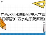 广西水利水电职业技术学院归哪管(广西水电职院所属)